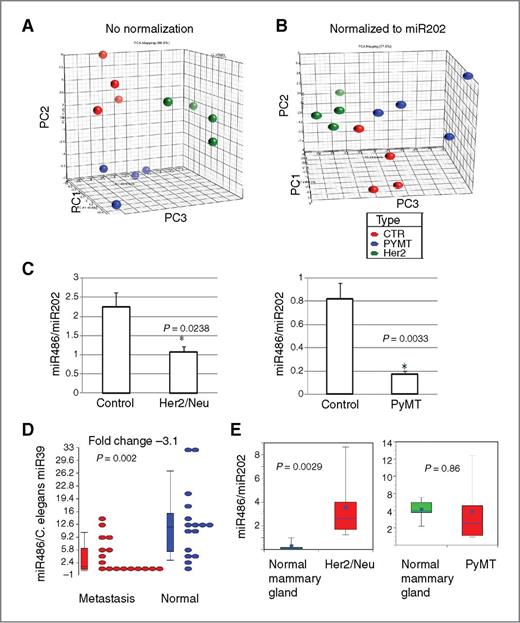 Figure 1. The sera of transgenic mice with mammary tumors display distinct miRNA profile.A, PCA of miRNAs in sera of control, MMTV-Her2/Neu, and MMTV-PyMT mice without normalization. B, PCA of miRNAs in sera of control, MMTV-Her2/Neu, and MMTV-PyMT mice after normalization with miR202. C, qRT-PCR analysis confirmed downregulation of miR486 in sera of transgenic animals with mammary tumors. D, analysis of circulating miR486 levels in healthy and metastatic patients using miRNA preparations after spiking sera with C. elegans miR39 to correct for technical variability. E, miR486 levels in the normal mammary gland (n, 7–8), MMTV-Her2/Neu (n = 6), and MMTV-PyMT–derived mammary tumors (n = 10).