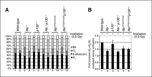 Figure 2. The pRB–LxCxE interaction is involved in cell-cycle arrest after γ-irradiation. A, MEFs of the indicated genotypes were either untreated or irradiated with 5.5 Gy and harvested 16 hours after irradiation. BrdUrd was added 1 hour before harvesting. Harvested cells were stained for BrdUrd and propidium iodide incorporation and analyzed by FACS. B, fold increase in (G1 + G2)/S in 5.5 Gy-irradiated versus untreated MEFs. Depicted is the average fold increase, calculated from two independent experiments. One of these experiments is shown in A.