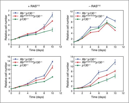 Figure 3. The pRB–LxCxE interaction is involved in RASV12-induced senescence. p130−/−, RbN750F/N750Fp130−/−, and Rb−/−p130−/− MEFs were infected with pBABE-RASV12-puro (+RASV12) or pBABE-puro (−RASV12) and plated for proliferation assays 4 days after infection. Cells were fixed and stained with crystal violet at the indicated time points. The relative cell number was determined by dividing OD590 at time point x by OD590 at time point 0. Two independent experiments (top and bottom), performed in triplicate, are shown.
