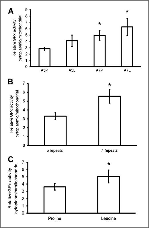 Figure 2. GPx activity in the cytoplasmic and mitochondrial fractions reflects the distribution pattern of the protein expressed from different GPx-1 alleles using the same extracts used to determine the levels of the GPx-1 protein in Fig. 1. A, enzyme activity was determined and the ratio of the activity obtained from the cytoplasmic to mitochondrial fractions is presented. The data were pooled by either the number of alanine codons (B) or the codon 198 polymorphism (proline vs. leucine; C). *, P < 0.005 for A7L and A7P versus A5P in A, the alanine repeats in B, or of 198P versus 198L in C, and the number of alanine repeats with n = 6.