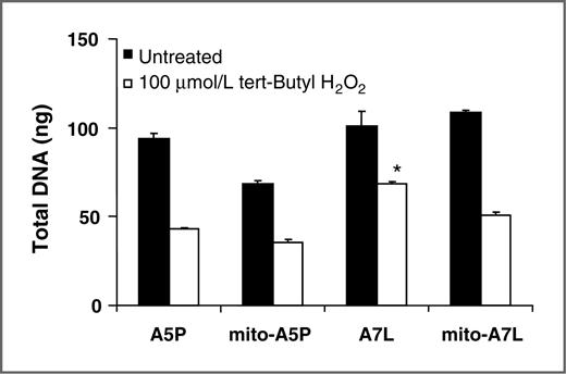 Figure 4. GPx-1 allelic identity affects viability after challenge with ROS. Cells expressing either A5P, A7L, mitochondria-targeted A5P (mito-A5P), or mitochondria-targeted A7L (mito-A7L) were challenged with 100 μmol/L t-BOOH for 48 hours and viability determined. The difference between A5P and A7L following exposure to t-BOOH was significant at *, P < 0.05. Error bars, SD with n = 6.
