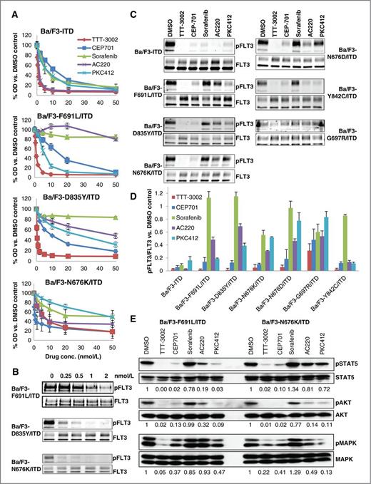 Figure 2. TTT-3002 is active against cells lines containing FLT3 TKI resistance mutations. A, proliferation of Ba/F3-ITD and Ba/F3-F691L/ITD cells measured by MTT assay at 48 hours following treatment with TTT-3002, CEP-701, sorafenib, AC220, or PKC412 (0-50nmol/L). Error bars indicate average ± SD; data are representative of three independent experiments. B, Ba/F3 cells transfected with TKI resistance mutations identified in patients (F691L/ITD, D835Y/ITD, and N676K/ITD) were treated with TTT-3002 and inhibition of pFLT3 was assessed by Western blotting of cell extracts. C, inhibition of pFLT3 with TKI resistance mutations by TTT-3002, CEP-701, sorafenib, AC220, or PKC412, each at 20 nmol/L. D, quantitation of C, represented by % pFLT3/FLT3 relative to DMSO control. Data represent average of three independent experiments ± SD. E, inhibition of phospho-STAT5 (pSTAT5), phospho-AKT (pAKT), and phospho-MAPK (pMAPK) in Ba/F3-F691L/ITD and Ba/F3-N676K/ITD cells by TTT-3002, CEP-701, sorafenib, AC220, or PKC412, each at 20 nmol/L. Fraction of phospho-protein/total protein, relative to DMSO, is indicated below each blot.