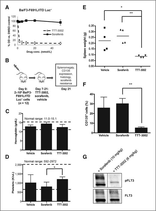 Figure 4. TTT-3002 is active against FLT3-F691L/ITD in vivo. A, proliferation of Ba/F3-F691L/ITD Luc+ cells at 48 hours by MTT assay (0–50 nmol/L TTT-3002 or sorafenib). Error bars indicate average ± SD. B, schematic of mouse xenograft study. Mice were treated with TTT-3002 (6 mg/kg twice a day, n = 4), sorafenib (10 mg/kg every day, n = 4), or vehicle control (1 mmol/L HCl, n = 4) for 14 days. C, hemoglobin (g/dL); D, platelet counts (K/μL); and E, spleen weights of TTT-3002-, sorafenib-, and vehicle-treated mice at day 21 (*, P < 0.05; **, P < 0.01). F, CD135-expressing cells are decreased in TTT-3002–treated mouse BM at day 21 (**, P < 0.01). G, TTT-3002 is active against sorafenib-resistant FLT3-F691L/ITD phosphorylation in vivo. Mice from the sorafenib cohort (n = 2) following treatment with sorafenib for 2 weeks received a single dose of sorafenib (10 mg/kg) or TTT-3002 (6 mg/kg). Spleens were harvested 2 hours later, and phosphorylation of FLT3 was assessed by Western blotting.
