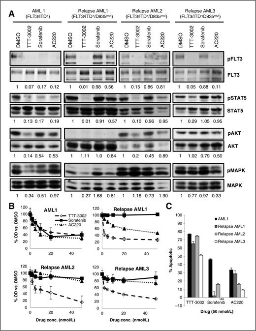 Figure 5. TTT-3002 is active against TKI-resistant patient samples with D835 mutations at relapse. A, inhibition of pFLT3, pSTAT5, pAKT, and pMAPK in FLT3/ITD+ (AML1) and relapsed AML patient samples with TKI resistance mutations at residue D835 (relapsed AML1–3) by TTT-3002, sorafenib, or AC220, each at 20 nmol/L. Fraction of phospho-protein/total protein, relative to DMSO-treated samples, is indicated below each blot. B, proliferation of AML patient blasts measured by MTT assay at 48 hours following treatment with TTT-3002, sorafenib, or AC220 (0–50 nmol/L). Error bars indicate average ± SD. C, Annexin V binding at 48 hours following treatment with TTT-3002, sorafenib, or AC220, with error bars indicating average of triplicate samples ± SD. Data represented as percentage Annexin V–positive cells relative to DMSO control.