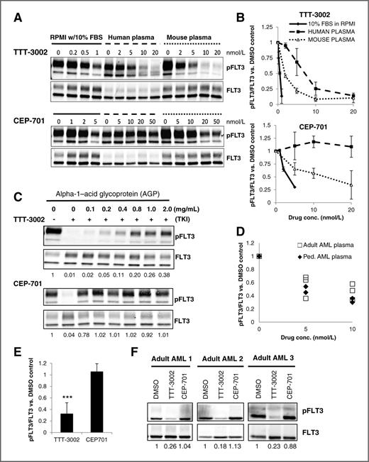 Figure 6. TTT-3002 is active in AML patient plasma and has lower affinity for human plasma proteins compared with CEP-701. A, inhibition of phospho-FLT3 (pFLT3) by TTT-3002 or CEP-701 in Ba/F3-ITD cells cultured in RPMI-1640 with 10% FBS, 100% human plasma, or 100% BALB/C mouse plasma. B, quantitation of A; results of three independent experiments represented as % pFLT3/FLT3 relative to DMSO control ± SD. C, inhibition of pFLT3 in Ba/F3-ITD cells cultured in RPMI-1640 supplemented with 10% FBS and AGP (0–2 mg/mL) by TTT-3002 (5 nmol/L, top) or CEP-701 (20 nmol/L, bottom). Fraction of pFLT3/FLT3 relative to DMSO control is indicated below each blot. Results representative of three independent experiments. D, inhibition of pFLT3 in Ba/F3-ITD cells cultured in 100% plasma from pediatric (n = 2) and adult (n = 3) AML patients by TTT-3002 (0–10 nmol/L). Data represented as fraction of pFLT3/FLT3 relative to DMSO control. E, Ba/F3-ITD cells cultured in 100% plasma from three adults with AML and three healthy adults by TTT-3002 (20 nmol/L) or CEP-701 (100 nmol/L) for 1 hour, and analyzed as in D. Data represented as fraction of pFLT3/FLT3 relative to DMSO control. Error bars indicate average ± SD (n = 6; ***, P < 0.0001; **, P = 0.01). F, representative examples of adult AML plasma (n = 3) from E. Fraction of pFLT3/FLT3 relative to DMSO control is indicated below each blot.