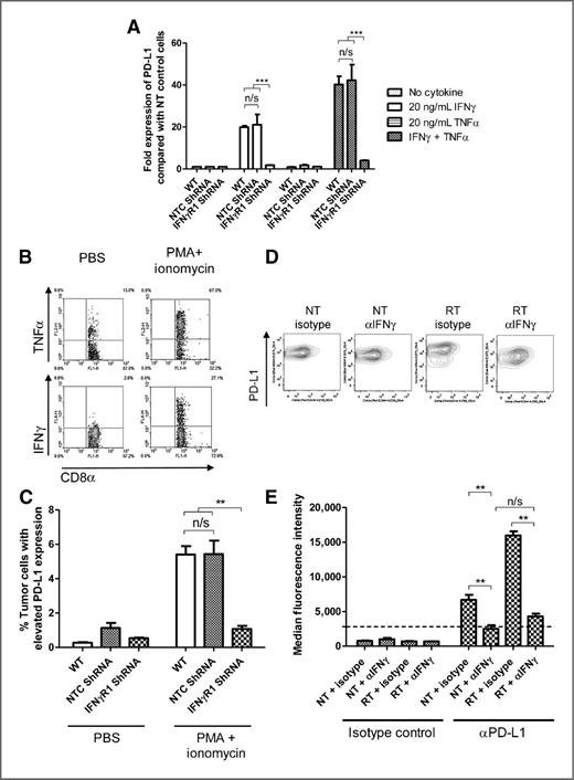 Acquired Resistance to Fractionated Radiotherapy Can Be Overcome by ...