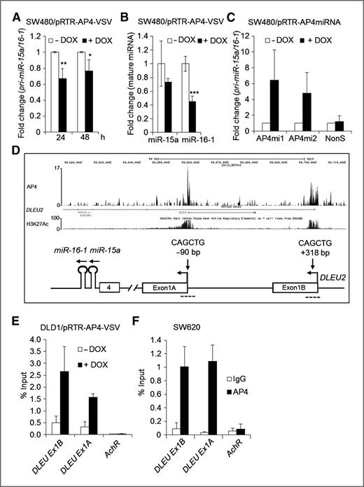 Figure 6. AP4 directly represses miR-15a/16-1. qRT-PCR analysis of SW480 cells harboring episomal plasmids for conditional expression of AP4 after addition of DOX for the indicated periods (A) or for 48 hours (B). C, qRT-PCR analysis of SW480 cells harboring episomal plasmids for conditional expression of two different miRNAs directed against AP4 (AP4mi1 or AP4mi2) or a nonsilencing miRNA (NonS). For generation of the miRNA-expressing pRTS vectors see ref. 2. Cells were treated with DOX for 48 hours. D, top, representation of ChIP-Seq results obtained after ectopic expression of AP4 for 24 hours in DLD-1 cells as obtained in ref. 2. Results were visualized by using the UCSC genome browser. D, bottom, schematic map of the human DLEU2 locus. AP4-binding motifs are indicated by vertical arrows above the gene. Dashed lines, amplicons used for qChIP analysis. Exons are indicated by rectangles and miRNAs by hairpins. E, DLD-1/pRTR-AP4-VSV cells were treated with DOX for 24 hours and subjected to qChIP analysis with an AP4-specific or, as a reference, immunoglobulin G (IgG) antibody. F, SW620 cells were subjected to qChIP analysis with an AP4-specific or, as a reference, IgG antibody. AchR amplification served as a control. A, B, C, E, and F, results represent the mean value ± SD (n = 3).