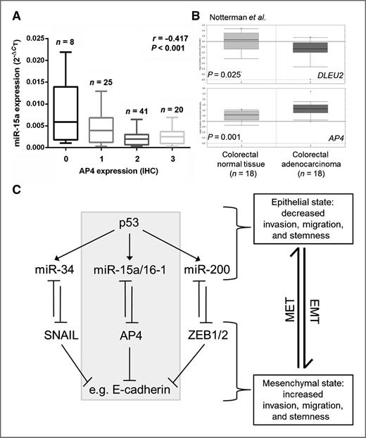 Figure 7. miR-15a and AP4 expression shows an inverse correlation in primary colon cancer. A, 94 samples of right-sided colon cancer, which have been described previously (2, 48), were subjected to qRT-PCR analysis of miR-15a expression. Expression of AP4 has previously been determined using immunohistochemistry (2) and was correlated with miR-15a expression. The AP4 expression levels were assigned to four groups representing none (0), weak (1), moderate (2), and strong (3) expression. Significance and correlation coefficient were calculated with the Pearson correlation algorithm. A P value of <0.05 was considered as statistically significant. B, analysis of mRNA expression levels of the indicated genes as deposited in the Oncomine database. Light gray, samples from normal colorectal tissue. Dark gray, samples from colorectal adenocarcinomas. P values were provided by the Oncomine database. C, the depicted model integrates the findings of this study (indicated by gray background) with previously described p53-regulated miRNAs involved in the regulation of EMT/MET and metastasis. Besides the miR-15a/16-1/AP4 feedback loop identified in this study, two additional loops between EMT-TFs and p53-induced miRNAs are known, namely the miR-34a/SNAIL and miR-200/ZEB1/2 loops.