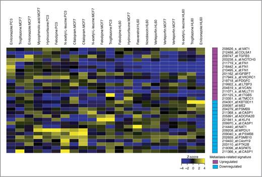 Figure 2. Evaluation of gene-expression profile clustering of candidate chemicals. Clustering of CMap data of individual experiments of 10 refined drug candidates (most anticorrelated profiles per cell line) and top 30 anticorrelated genes. Purple, upregulated in metastatic colorectal cancer signature; blue, downregulated in metastatic colorectal cancer signature. Dark blue, normalized fold changes, downregulated in drug-induced profile; yellow, upregulated in the drug-induced profile.
