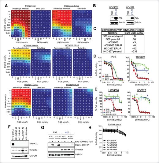 Figure 3. AXL inhibition does not re-sensitize erlotinib-resistant NSCLC cells. A, drug matrix heatmap grid illustrating percentage inhibition and delta Bliss for R428 in combination with erlotinib in PC9 parental and mesenchymal (MES) cell lines (top), HCC4006 parental and ERL-R cells (middle), and HCC827 parental and ERL-R cells (bottom). Drug matrix heatmap grids correspond to one representative experiment out of three independent experiments. B, immunoblot demonstrating increased AXL following prolonged erlotinib treatment (ERL-R) in HCC4006 and HCC827 cells. C, table illustrating the sum Bliss score for erlotinib in combination with R428. D, cell viability assay demonstrating the effect of R428 (1 μmol/L) in combination with erlotinib in PC9 parental and mesenchymal cells (left) and HCC827 parental and mesenchymal cells (right). E, cell viability assay illustrating the effect of R428 (1 μmol/L) in combination with erlotinib in HCC4006 parental and ERL-R cells (left), and HCC827 parental and ERL-R cells (right). All error bars, mean ± SEM. F, immunoblot demonstrating decreased AXL expression following knockdown (10 nmol/L) for 72 hours with four different AXL siRNAs in PC9 mesenchymal cells. NTC siRNA serves as a control. G, immunoblot showing the effect of AXL knockdown (10 nmol/L) for 72 hours and in combination with erlotinib (50 nmol/L) for a further 72 hours on PARP cleavage and vimentin expression in PC9 parental (PAR) and mesenchymal (MES) cells. H, cell viability assay demonstrating the effect of AXL knockdown (20 nmol/L) for 24 hours and in combination with erlotinib for a further 72 hours in HCC4006 ERL-R cells. Error bars, mean ± SEM.
