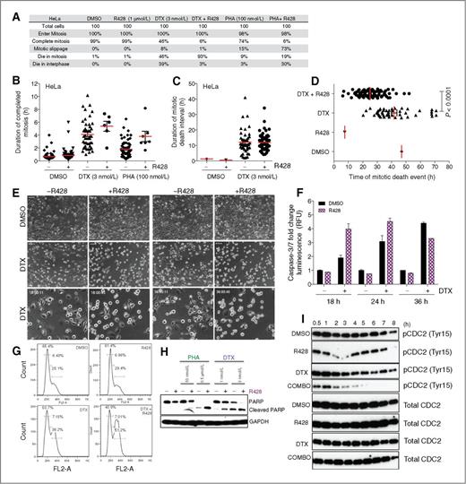Figure 7. Axl inhibition in combination with antimitotic agents promotes mitotic death. A, table representing the fate of 100 individual cells following exposure to R428 (1 μmol/L), docetaxel (DTX; 3 nmol/L), PHA-739358 (PHA; 100 nmol/L), or the indicated combinations based on a 72 hours microscopy assay. B, scatter plot demonstrating the duration of completed mitosis (hours) for 100 individual cells upon each drug treatment: R428 (1 μmol/L), docetaxel, PHA-739358 (PHA), and combinations in HeLa cells in a 72-hour assay. Red line, mean. C, scatter plot demonstrating the duration of the mitotic death interval in hours of 100 individual cells upon each drug treatment: R428 (1 μmol/L), docetaxel, and the combination in HeLa cells in a 72-hour assay. Red line, mean. D, scatter plot demonstrating a significant difference as assessed using the Student t test (HeLa P ≤ 0.0001) of the time of mitotic death in hours of 100 individual cells upon each drug treatment: R428 (1 μmol/L), docetaxel (3 nmol/L), and the combination in HeLa cells in a 72-hour assay. Red line, mean. E, microscopy images demonstrating mitosis following treatment with R428 (1 μmol/L), docetaxel (3 nmol/L), or the combination in HeLa cells at 18 hours (left) and 36 hours (right). F, bar graph representing caspase-3/7 activation following treatment with R428 (1 μmol/L), docetaxel (10 nmol/L), or the, combination in HeLa cells during a 18-, 24-, and 36-hour time course. Error bars, mean ± SEM. G, histogram plots demonstrating DNA content upon exposure of HeLa cells to R428 (1 μmol/L) in combination with docetaxel (10 nmol/L) after 8 hours. H, immunoblot demonstrating apoptosis (cleaved PARP) in HeLa cells after PHA-739358 (PHA) or docetaxel treatment in combination with R428 (1 μmol/L) for 72 hours. I, Immunoblots showing phospho-CDC2 (pCDC2) and total CDC2 in HeLa cells following treatment with R428 (1 μmol/L), docetaxel (3 nmol/L), or the combination (COMBO) during an 8-hour assay period.