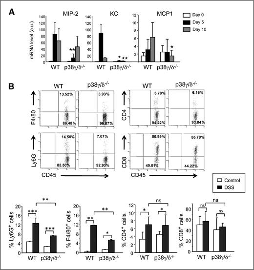 Figure 5. Reduced macrophage and neutrophil recruitment in p38γ/δ−/− mice. A, relative mRNA expression for indicated genes in DSS-treated WT and p38γ/δ−/− mouse colon determined by qPCR and normalized to GAPDH mRNA. Data, mean ± SD (n = 5–6). B, colon crypt cells from 0- to 5-day DSS-treated WT and p38γ/δ−/− mice were stained with anti-CD45, anti-CD4, anti-CD8, anti-Ly6G, and anti-F4/80 antibodies and the percentage of positive cells analyzed by flow cytometry. Representative profiles are shown. C, CD45+ cells were gated and percentages of CD4+, CD8+, Ly6G+, and F4/80+ cells analyzed by flow cytometry. Data, mean ± SD (n >20 mice/condition); *, P ≤ 0.05; **, P ≤ 0.01; ***, P ≤ 0.001.