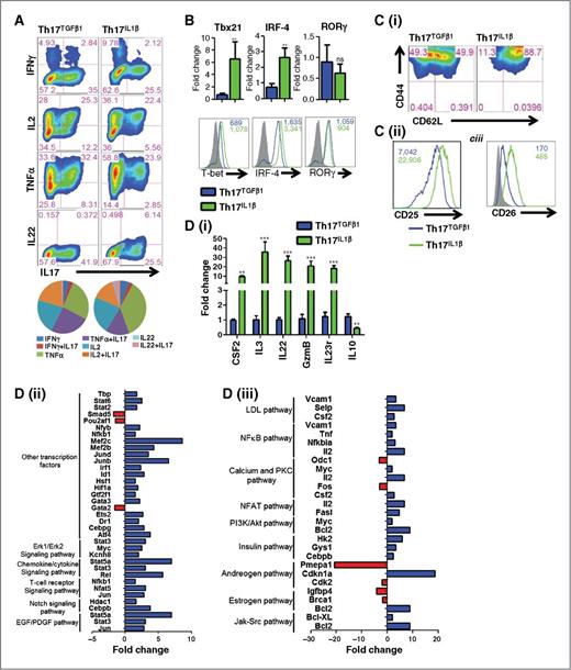 Figure 2. Distinct functionality of Th17TGFβ1 and Th17IL1β cells. A, naïve CD4+ T cells from C57BL/6 mice were differentiated toward either Th17TGFβ1 or Th17IL1β and intracellular production of various cytokines was analyzed. The percentage of cells producing different cytokines is also represented in pi-diagram (50,000 cells/group were analyzed to draw pi-diagram). B, qPCR analysis (top) and flow-cytometric analysis (bottom) of various Th17 signature transcription factors expression by Th17TGFβ1 and Th17IL1β cells. C and D, flow-cytometric analysis of CD62L versus CD44 expression (C, i) and CD25 expression Th17TGFβ1 and Th17IL1β cells at day 3 of polarization (C, ii). D, i, qPCR analysis of expression of key effector genes in Th17TGFβ1 and Th17IL1β cells after 3 days of polarization. Data represent three independent experiments; **, P < 0.005; ***, P < 0.0001. Transcription factors array (D,ii) and signal transduction array (D, iii) were performed using the 84-Gene qPCR-Based Array Kit (SABiosciences) as per the manufacturer's recommendation. Fold upregulation (blue) or downregulation (red) of Th17IL1β over Th17TGFβ1.