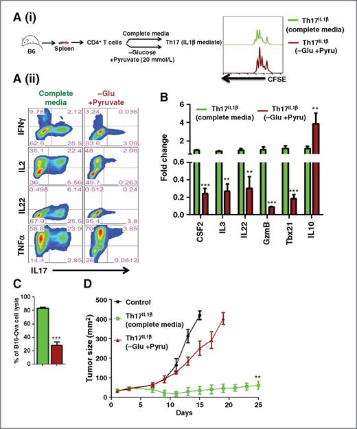 Figure 5. Shift from glycolysis dampens Th17IL1β cells effector functions. A, i, schematic diagram of the culture conditions used to generate the Th17IL1β cells. ii, intracellular staining of various cytokines. B, qPCR analysis of the expression of key effector genes. C, cytolysis of B16-F10-ova cells was evaluated using Th17IL1β cells polarized either in complete media (green bars) or in 20 mmol/L pyruvate (no glucose)-containing media (brown bars). D, C57BL/6 Rag1−/− mice (n = 5 mice/group) were inoculated (s.c.) with 0.25 × 106 B16-F10-ova, and after 7 days, mice were either kept untreated as control or adoptively transferred with either 1 × 106 ova–specific Th17IL1β OT-II cells polarized either in complete media or 20 mmol/L pyruvate (no glucose)-containing media. Tumor growth was measured using digital calipers every fourth day. Data, mean tumor size at each time point in one of the two experiments with similar results; *, P < 0.05; **, P < 0.005; and ***, P < 0.0001.
