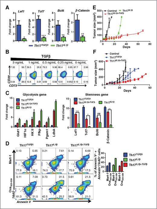 Figure 6. Low dose of TGFβ induces stem cell–like phenotype in Th17IL1β cells. A, qPCR analysis for expression of key memory and stemness-associated genes in Th17TGFβ1 and Th17IL1β cells. Cumulative data from three independent experiments are presented. B, flow-cytometric analysis for CD39 and CD73 expression on CD4-gated T cells after 3 days of culture in presence of various concentration of TGFβ. C, qPCR analysis of key glycolysis regulating genes (left), and memory/stemness-associated genes (right) in either Th17TGFβ1, Th17IL1β cells, or Th17IL1β cells cultured in presence of 250 pg/mL TGFβ (i.e., Th17IL1β+TGFβ cells). D, OT-II CD4+ T cells were polarized toward different Th17 types and restimulated with either cognate antigen (ova323-339) or nonspecific antigen (MART-1) for 4 hours. Cell death was determined by evaluating Annexin V versus 7AAD by flow cytometry (left) as detailed in the Supplementary Methods. Bar diagram (right), the percentage of Annexin V– and 7AAD-positive cells from three different experiments. E, C57BL/6 Rag1−/− mice (n = 4–5 mice/group) were inoculated (s.c.) with 0.25 × 106 B16-F10-ova murine melanoma cells and after 7 days, mice were either kept untreated as control or adoptively transferred with either 1 × 106 ova–specific Th17IL1β or Th17IL1β+TGFβ OT-II (Vβ5+CD4+) cells. Tumor growth was measured using digital calipers every fourth day. Data, mean tumor size at each time point in one of the three experiments with similar results. F, NSG-A2 mice (n = 5 mice/group) were inoculated with 2.5 × 106 HLA-A2+ human melanoma 624-MEL cells and after 15 days, mice were either kept untreated or treated with h3T mouse-derived 0.2 × 106 human tyrosinase epitope–reactive Th17TGFβ1 or Th17IL1β+TGFβ cells. Tumor growth was measured using digital calipers every 3 day. Data, mean tumor size at each time point; *, P < 0.05; **, P < 0.005; and ***, P < 0.0001.