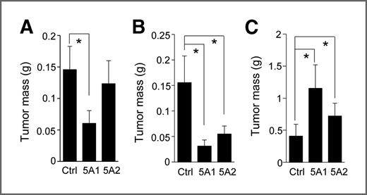 Figure 5. eIF5A proteins are sufficient and necessary for orthotopic PDAC tumor growth. PANC1 (A) or 779E (B) cells expressing control (Ctrl), eIF5A1 (5A1), or eIF5A2 (5A2) shRNAs were orthotopically implanted into athymic mice and allowed to form tumors for 23 days and 16 days, respectively. Bar graphs represent the average tumor weights for each group. C, PANC1 cells overexpressing eIF5A1 (5A1), eIF5A2 (5A2), or mock-transfected (Ctrl) PANC1 cells were orthotopically implanted and allowed to form tumors for 55 days. The average tumor weight from each group was measured as above. *, P < 0.05, as determined by the Student t test.