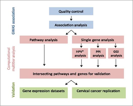 Figure 1. Work flow for the multitier computational project. QC and association analysis was performed on the GWAS raw data, which was then subjected to several independent modes of analysis. Validation was performed on genes and pathways found to be significant in all modes of analysis.