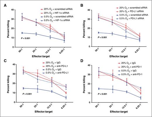 Figure 2. Hypoxia induces tumor cell resistance to CTL-mediated lysis. A, cytolytic activity of mouse CTLs against B16-OVA cells transfected with control siRNA or HIF-1α siRNA and preincubated in 20% O2 or 0.5% O2. B, cytolytic activity of mouse CTLs against B16-OVA cells transfected with control siRNA or PD-L1 siRNA and preincubated in 20% O2 or 0.5% O2. C, cytolytic activity of mouse CTLs against B16-OVA cells preincubated in 20% O2 or 0.5% O2 and treated with IgG or anti-mouse PD-L1 blocking antibody. D, cytolytic activity of mouse CTLs against B16-OVA cells preincubated in 20% O2 or 0.5% O2 and treated with IgG or anti-mouse PD-1 blocking antibody. Results shown represent pooled data from experiments performed using CD3+ CTLs isolated from four different C57Bl/6 mice. Data points showing the effects of preincubation of tumor cells in 0.5% O2 plus scrambled siRNA or 0.5% O2 plus IgG are duplicated in A and B as well as in C and D, respectively. P values on the graphs indicate significant difference between the lowermost curves (0.5% O2 + scrambled siRNA or IgG) and the curves above combined. Significance was calculated by one-way ANOVA followed by the Bonferroni multiple comparison post hoc test performed on the Y-intercepts of the linear regressions of the data pooled from all experiments. Results of two-way ANOVA of the mean cytolytic activities at each individual effector:target ratio are shown in Supplementary Table S1.