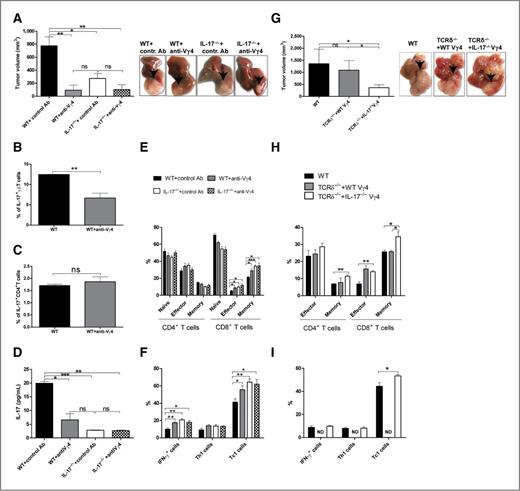Figure 4. Vγ4 γδ T-cell depletion reduces tumor growth, whereas adoptive transfer of Vγ4 γδ T cells promotes tumor growth. WT and IL-17−/− mice were treated with intravenous injection of anti-Vγ4–specific mAb on days −5 and −1 before tumor implantation. Fourteen days after the implantation, mice were sacrificed and tumor volume was calculated. A, tumor volumes and the gross morphology of intrahepatic tumors. B, the percentage of IL-17A–producing γδ T cells. C, the percentage of Th17 cells. D, serum levels of IL-17A. E, the percentage of effector and memory CD4+ or CD8+ T cells. F, the percentage of the IFN-γ–producing lymphocytes, CD4+ T cells, and CD8+ T cells. G, TCRδ−/− mice were reconstituted with cultured Vγ4 γδ T cells either from WT or IL-17−/− mice followed by tumor implantation. Tumor volume and the gross morphology of tumors were shown. H, the percentage of effector and memory CD4+ or CD8+ T cells. I, the percentage of the IFN-γ–producing lymphocytes, CD4+ T cells, and CD8+ T cells (ND, not detected). The data shown are representative of three independent experiments, each using 4 to 5 mice per group. Data are shown as mean ± SEM (ns, P > 0.05; *, P < 0.05; **, P < 0.01; ***, P < 0.001). Ab, antibody.