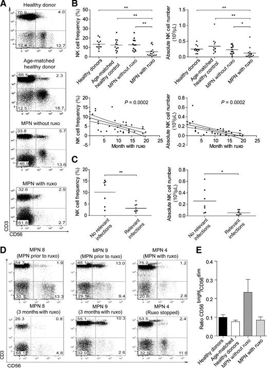 Figure 1. Ruxolitinib (ruxo) affects NK cell frequency and number in patients with myelofibrosis. A, representative dot plots of the flow cytometry analysis of a healthy donor, an age-matched healthy donor, a myelofibrosis patient without treatment, and a myelofibrosis patient treated with ruxolitinib are shown. B, top, frequency and absolute NK cell numbers were calculated from flow cytometry analysis and are shown as scatter plot from healthy donors (n = 12), age-matched healthy donors (n = 12), MPN patients without ruxolitinib treatment (n = 12), and patients receiving ruxolitinib therapy (n = 15). Individual patients and the mean are shown for each group (*, P < 0.05; **, P < 0.01). Bottom, the percentage of CD56+CD3− NK cells and the absolute NK cell number plotted against the duration of ruxolitinib administration in months. The line represents the linear regression with 95% confidence intervals (n = 27). C, frequency and absolute NK cell numbers of MPN patients while on ruxolitinib treatment divided into patients without and with relevant (CTCAE ≥grade 2) infections (n = 16). The scatter plots provide individual values and the mean (*, P < 0.05; **, P < 0.01). D, representative dot plots of the NK cell percentage prior to and during (left and middle plots) and 3 months after stopping ruxolitinib (right plots) are shown. E, CD56bright:CD56dim ratio was calculated from healthy donors (n = 12), age-matched healthy donors (n = 12), MPN patients (n = 12) without ruxolitinib, and patients with ruxolitinib treatment (n = 15) by flow cytometry. Bars, mean ± SEM.