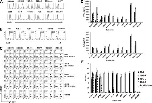 Figure 1. Characterization of ErbB2 affinity-tuned CART cells and tumor cell lines. A, detection of ErbB2 surface expression on tumors and cell lines. Cells were stained with anti-ErbB2 Affibody-biotin and detected with APC (open histograms); cells incubated with APC alone indicate background (gray-filled histograms). B, FACS analysis of affinity-tuned CAR expression in mRNA electroporated T cells. T cells were electroporated with indicated CAR mRNA and one day after the electroporation, the CAR expression was detected using an anti-mouse IgG Fab antibody (for both CD19.BBZ and ErbB2.BBZ CARs). T cells without electroporation were used as a negative control. C, the induction of CD137 (4-1BB) expression on CART cells after stimulation by tumor cells was measured. One day after electroporation, the various CART cells (KD, nmol/L) were cocultured with the indicated tumor cell lines. CD137 and CD3 expression was measured after 24 hours (CD3+ gated). D, cytokine secretion was measured (ELISA) in culture supernatants. T cells were electroporated with affinity-tuned ErbB2 CAR mRNA as indicated. One day after the electroporation, the CART cells were cocultured with indicated tumor cell lines for 24 hours. Bar charts show results from a representative experiment (values represent the average ± SD of triplicates) for IFNγ (top) and IL2 (bottom). E, CD107a upregulation on CART cells stimulated by tumors. T cells were electroporated with ErbB2 CAR mRNAs encoding the indicated scFv and one day later, the CART cells were cocultured with the indicated cell line for 4 hours. CD107a expression CD3+ T cells was measured (values represent the average ± SD of four similar independent experiments).