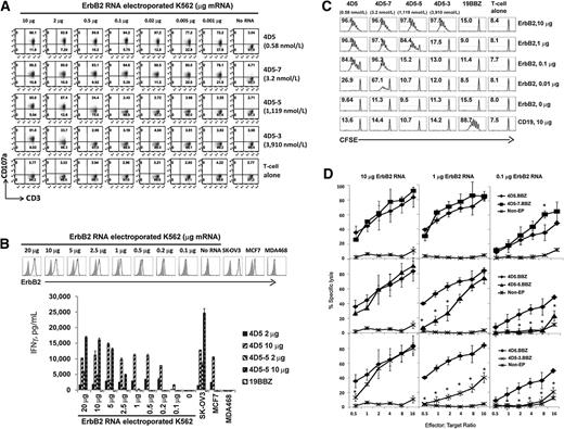 Figure 2. Control of ErbB2 target recognition density by scFv affinity tuning. A, K562 cells were electroporated with indicated amounts of ErbB2 mRNA and CART cells expressing the indicated scFv (KD, nmol/L) were cocultured with target for 4 hours and the percentage CD107a expression was quantified on CD3+ cells. B, IFNγ secretion by the panel of ErbB2 CART cells stimulated by ErbB2 mRNA electroporated K562 cells. K562 cells were electroporated with the indicated amount of ErbB2 mRNA (top). T cells were electroporated with 2 μg or 10 μg ErbB2 CAR mRNA as indicated. CART cells were cocultured with indicated K562 targets and IFNγ secretion was measured by ELISA after 24 hours (bottom). C, proliferation of the panel of affinity-tuned CART cells after stimulation by ErbB2 mRNA electroporated K562 cells. Resting CD4 T cells were labeled with CFSE and electroporated with 10 μg CAR mRNA. K562 cells were electroporated with the indicated amount of ErbB2 mRNA or control CD19 mRNA. The T cells and irradiated targets were cultured (1:1 ratio) for 7 days and CFSE dilution was measured by flow cytometry (CD3 gated); the percentage of divided T cells is shown. D, cytolytic activity of affinity-tuned CART cells, using non-electroporated T cells (Non-EP) as control, against Nalm6-CBG ErbB2-expressing target cells was measured. T cells were electroporated with ErbB2 CAR mRNA as indicated. Nalm6-CBG (click beetle green) target cells were electroporated with ErbB2 mRNA at the indicated dose. One day after the electroporation, the CART cells were cocultured with Nalm6-CBG cells at indicated E:T ratio and percentage of specific lysis was calculated after 8 hours. All groups were compared with 4D5.BBZ. The results shown here are the averages of three independent experiments (*, P < 0.05, Student t test).