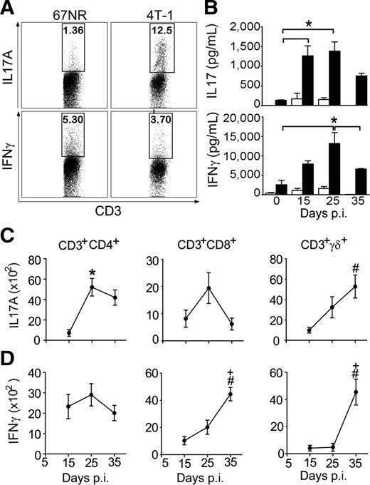 Figure 1. IL17A is produced in murine metastatic mammary tumors. A, cytokine production by tumor-infiltrating cells isolated from BALB/c mice subjected to an induction protocol with nonmetastatic (67NR) and metastatic (4T-1) mammary tumors on day 15 postinoculation (p.i.). Cells were stimulated with PMA + ionomycin, and the expression of IL17A and IFNγ was analyzed in CD3+ cells using flow cytometry. B, IL17A and IFNγ levels (measured by ELISA) in the supernatants of splenocytes isolated at day 0, 15, 25, and 35 postinoculation with 4T-1 and stimulated with anti-CD3 + anti-CD28 (closed bars) or unstimulated (open bars) for 72 hours. C and D, total numbers of PMA/ionomycin-stimulated, CD3-gated, CD4+, CD8+, and TCRγδ+ T cells producing IL17A (C) and IFNγ (D) in isolates from the tumor microenvironment (measured by flow cytometry). The data shown are representative of three independent experiments with similar results and are shown as the mean ± SEM of five mice (*, P < 0.05, comparing periods of 15–25 days; +, P < 0.05, comparing periods of 25–35 days; #, P < 0.05, comparing periods of 15–35 days).