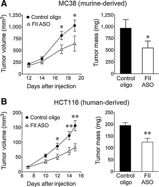 Figure 3. Pharmacologic inhibition of hepatic prothrombin production impedes murine and human colon cancer growth. A, diminution of prothrombin levels to approximately 5% of normal with a prothrombin-specific ASO (n = 10) significantly impeded the growth of MC38 cells in C57Bl/6 mice relative to administration of a control oligonucleotide with no homology in the murine genome (n = 13) as determined by serial caliper measurements estimating tumor volume and tumor mass determined at sacrifice. B, diminishing prothrombin expression in male athymic nude mice (n = 13) also significantly impeded the growth of the human colon cancer cell line HCT116 relative to administration of a control oligonucleotide (n = 9; *, P < 0.05; **, P < 0.01).