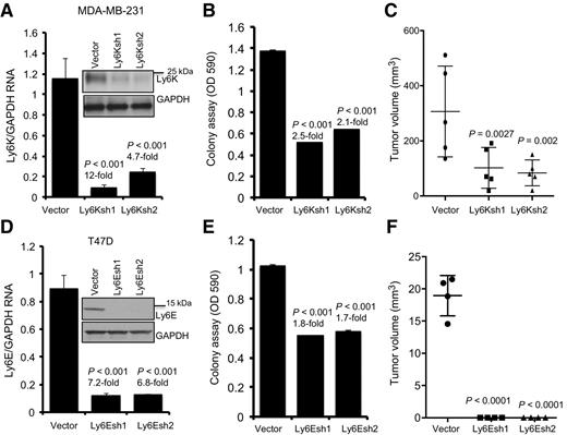 Ly6E/K Signaling to TGFβ Promotes Breast Cancer Progression, Immune ...