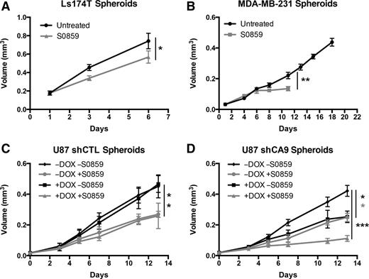 Figure 4. Disruption of NDBTs reduces spheroid growth rate. Representative graphs of the effect of the inhibition of NDBT by S0859 on spheroid growth of Ls174T (A), MDA-MB-231 (B), U87 controls [doxycycline (DOX)-inducible shCTL; C], and U87 with doxycycline-inducible CA9 knockdown (shCA9; D). Error bars, SD. ***, P < 0.001; **, P < 0.01; *, P < 0.05; n = 3.