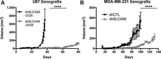 Figure 7. Knockdown of NDBT SLC4A9 reduces xenograft growth. SLC4A9 knockdown reduced growth of U87 (glioblastoma, n = 7; A) and MDA-MB-231 (breast cancer, n = 6; B) xenografts. Error bars, SD. ****, P < 0.0001.
