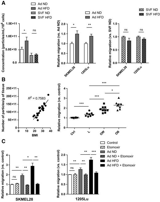 Figure 4. The effect of ad-exos is amplified in obesity. A, left, NanoSight analysis of exosomes secreted by adipocytes or SVF from the subcutaneous adipose tissue of lean [normal diet (ND)] or obese [high fat diet (HFD)] mice; middle and right, migration assays of melanoma cells incubated or not with the exosomes secreted by the indicated cells. ns, nonsignificant. B, left, correlation between human adipose tissue exosome secretion and BMI; right, migration of SKMEL28 cells incubated or not with exosomes from human adipose tissue. Ctrl, control; L, lean; OW, overweight; OB, obese. C, migration assays in the indicated conditions. *, P < 0.05; **, P < 0.01; ***, P < 0.001. ns, nonsignificant.
