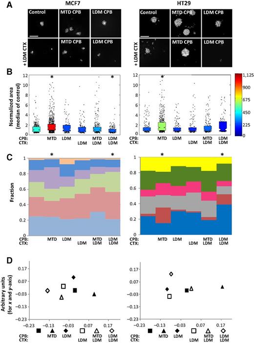 Figure 2. Plasma from mice treated with MTD capecitabine increased surrogates in vitro of tumor cell tumorigenic potential when compared with plasma from mice treated with LDM capecitabine. Nontumor–bearing Balb/c mice treated with MTD or LDM capecitabine (CPB), with or without LDM cyclophosphamide (CTX), were bled a week later, and plasma was separated. Plasma (5%) was used in a colony formation assay involving MCF-7 and HT-29 cells. A representative images of colonies from the different groups. Scale bar, 100 μm. B high content imaging analysis of the colonies. The color range in side bar represents number of colonies per treatment group, and the y-axis is the relative area of each colony (ratio of the area of each colony to the median area of the untreated control in each experiment; n = 96 fields/group). The box plot of the relative area focuses colonies that are relatively larger with respect to untreated control. C unsupervised clustering of colonies using an affinity propagation algorithm with the number of clusters set to 6 to identify colonies that have similar morphologic phenotypes. Each color represents one cluster, and the height of the bar (y-axis) represents the fraction of the colonies in that treatment group with the phenotypic characteristics of that specific cluster. χ2 test of independence was employed to access significance of colony proportions for the different treatment groups across different morphologic phenotypes. D relationship of the phenotypes to each other presented as a distance map based on Hellinger similarity between treatment profiles, plotted and displayed using a multidimensional scaling algorithm. *, P < 0.05 from plasma control.