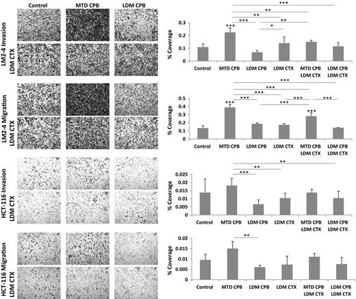 Figure 3. Increased migration and invasion properties of tumor cells in response to exposure to plasma obtained from MTD but not LDM capecitabine (CPB)–treated mice. Nontumor–bearing Balb/c mice treated with MTD or LDM capecitabine, with or without LDM cyclophosphamide (CTX), were bled a week later, and plasma was separated. Plasma (5%) was used to assess the migration and invasion properties of LM2-4 and HCT-116 cells. Representative images of tumor cell coverage are provided (left), with quantification (right). *, P < 0.05; **, P < 0.01; ***, P < 0.001 as assessed by one-way ANOVA followed by Tukey post hoc test.