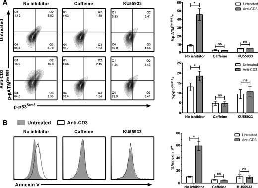 Figure 2. Activation of ATM following TCR restimulation. Phosphorylation of p53 and ATM (A) and Annexin V staining (B) in CD8+ T cells 120 minutes after TCR restimulation. Data shown are representative results (left) and averages ± SEM from three donors (right). Caffeine (10 mmol/L) or KU-55933 (100 μmol/L) was added 1 hour before restimulation of the TCR with anti-CD3. *, P < 0.05; ns, not significant.