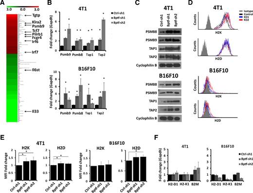 BPTF Depletion Enhances T-cell–Mediated Antitumor Immunity | Cancer ...