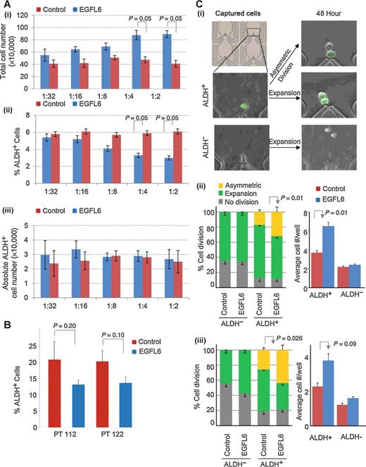 Figure 3. EGFL6 promotes ALDH+ cell asymmetric division. A, summary of three replicate experiments demonstrating EGFL6 treatment is associated with increasing total cell numbers (i), decreasing percentages of ALDH+ cells (ii), but no change in absolute ALDH+ cell number (iii). B, percentages of ALDH+ primary ovarian cancer cells following treatment with EGFL6 or vehicle. C, single-cell microfluidic culture showing representative immunofluorescence images (i) demonstrating initial ALDEFLUOR stain (ALDH+, green; ALDH(−), gray) in captured single cells and the observed types of cell division outcomes for ALDH(−) vs. ALDH+ cells after capture, summary of percentages of division events and average number of progeny/microfluidic well with EGFL6 (ii and iii), or vehicle treatment of SKOV3 cells (ii) and three primary patient samples (iii). SKOV3 cells were analyzed in three independent experiments. Primary samples were analyzed in two independent experiments.