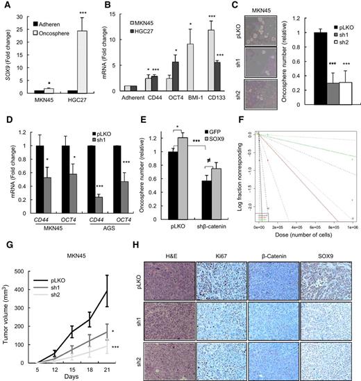 Figure 3. SOX9 is required for gCSC maintenance and tumor initiation capacity. A and B, SOX9 and indicated stem cell markers levels in oncospheres relative to adherent cells grown in the presence of serum (n = 4). C, representative image and quantification of pLKO, sh1, or sh2 MKN45-derived oncospheres (n = 3). D, CD44 and OCT4 levels in indicated cells (n = 3). E, quantification of oncospheres derived from the indicated conditions (n = 4). F, tumor-initiating cell number in MKN45 pLKO, sh1, or sh2 cells calculated at 18 days postinjection using the ELDA platform. The slope of the line is the log-active cell fraction. Solid lines depict the mean, the dotted lines give the 95% confidence interval, and circles indicate the values obtained in each cell dilution. G, volume of subcutaneous tumors generated in nude mice (n = 8) measured at the indicated time points. H, immunohistochemical images of hematoxylin and eosin (H&E), Ki67, β-catenin, and SOX9 staining in tumors generated in G (n = 4).