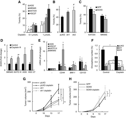 Figure 6. SOX9 modulates chemotherapy response. A, cytotoxicity exhibited by indicated gastric cancer cells after 0.1 and 1 μmol/L cisplatin treatment for 72 hours. Toxicity was evaluated by MTT and referred to untreated cells (n = 5). B, MTT assays of indicated MKN45 cells with 10 μmol/L cisplatin for 72 hours (n = 4). C, MTT assays in MKN45 and KATOIII GFP or SOX9-overexpressing cells treated with 10 μmol/L cisplatin for 72 hours (n = 4). D, SOX9 levels in 120-hour cisplatin-resistant cells (cisplatin R). E, expression of gCSC markers in cisplatin-resistant cells. F, quantification of oncospheres from indicated MKN45 cells treated with 1 μmol/L cisplatin or vehicle for 7 days (n = 3). G and H, volume of tumors generated by indicated MKN45 cells in nude mice treated intraperitoneally with vehicle or cisplatin 7.5 mg/kg (n = 8).