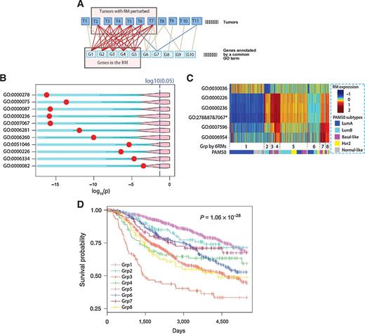 Figure 1. Identification of response modules predictive of clinical outcomes. A, Diagram illustrating the search for a response module by finding a densely connected bipartite graph. Tumors and DEGs annotated by a common GO term are represented as the nodes in the graph. An edge indicates that a gene is differentially expressed in a tumor. A response module consists of a set of co-differentially expressed genes in multiple tumors satisfying a specified connectivity. B, Volcano plot illustrating response modules that are predictive of patient outcomes. A row corresponds to a response module, and a red dot indicates the Kaplan–Meier P value of METABRIC patients dichotomized according to the state of the response module. The pink area indicates the upper 95% of P values that can be obtained when dividing patients conditioning on randomly drawn gene sets of the same size as the corresponding response module. C, Heatmap illustrating the averaged within-module expression values of response modules (response modules annotated with GO: 0000278, GO: 0000087, and GO: 0007067 were merged and are indicated by an asterisk). The pseudo-color represents the relative expression value of a response module in tumors by the number of SDs from the mean. The tumors were clustered into subgroups with group IDs indicated below the heatmap; the proportion of tumors belonging to PAM50 subtypes within a cluster are shown as colors. D, Kaplan–Meier survival curves of the 8 patient groups identified by clustering analysis.