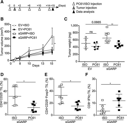 Figure 4. Depletion of CD25+ T cells abolished the aggressiveness of soluble GARP-expressing mammary tumors. A, Experimental design. Female BALB/c mice received intraperitoneal injection of PC61 anti-CD25 mAb (100 μL ascites) every 4 days, starting 2 days before tumor injection. On day 0, mice were injected in the 4th mammary fat pad with 5 × 105 tumor cells. Mice were sacrificed on day 15. B, Tumor volume was measured every 3 days (n = 5–6). C, Mice were sacrificed at day 15 after tumor injection, and the primary tumors were resected and weighted. ns, not significant. D and E, Tumor-infiltrating lymphocytes (TIL) were isolated and the percentages of CD4+CD25+ T cells, CD4+CD25+Foxp3+ Tregs in the whole CD4+ population were determined by flow cytometry. F, Tumor-infiltrating CD8+ T lymphocytes were isolated, ex vivo stimulated with phorbol 12-myristate 13-acetate (PMA) and ionomycin. IFNγ production was quantified by flow cytometry. *, P < 0.05; **, P < 0.01. Significance was determined by the Wald test (B) and two-tailed Student t test (C–F).