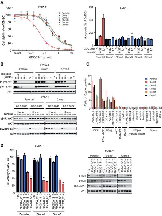 Activating Mutations in PIK3CB Confer Resistance to PI3K Inhibition and