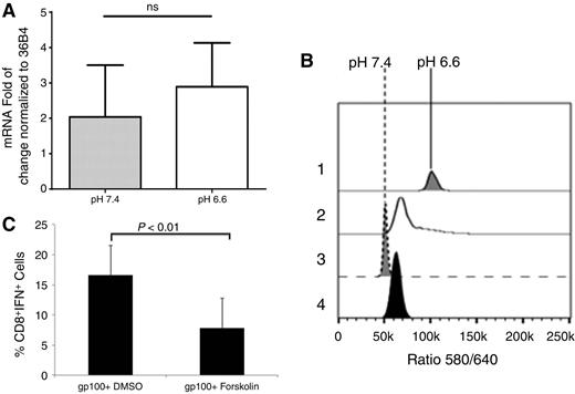 Figure 2. T-cell characteristics. A, IFNγ mRNA levels are unaffected by pH. Levels of IFNγ mRNA in pmel T cells following a 48-hour stimulation at pH 7.4 and subsequent incubation at pH 7.4 or 6.6 for a subsequent 24 hours. Data were normalized to ribosomal protein 36B4 and expressed as mean ratio ± SD from three independent experiments; B, pHi of activated T cells is unaffected by the incubation pH. Pmel T cells were activated as above and then incubated at pH 6.6 or 7.4 for 24 hours, after which they were loaded with SNARF-1, acetoxymethyl ester, acetate, washed, and resuspended in PBS (2,4) or high K/nigericin (1,3) at pH 6.6 (1,2) or 7.4 (3,4) and the 580/640 fluorescence ratio subsequently determined by flow cytometry. The ratio shows that the pHi values of cells in PBS at low and high pH were both approximately 7.2, and the ratios in nigericin show pH calibration points. C, forskolin inhibits T-cell function. Activated pmel T cells were cultured with DMSO or forskolin in the presence of gp100 peptide. After 24 hours, intracellular IFNγ was measured by flow cytometry. Data represent results from three separate experiments, and P values were determined using two-tailed Student t test.
