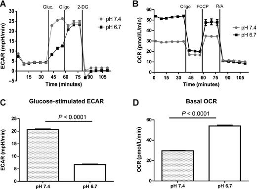 Figure 3. pmel T-cell metabolism. Pmel T cells were activated with gp10025-33 peptide for 48 hours, followed by a subsequent 48-hour incubation at either pH 6.7 or 7.4. Cells were subsequently metabolically profiled using a Seahorse XF-96 Analyzer. A, representative results of a glucose stress test, which measures extracellular acidification rate (ECAR) following addition of glucose (Gluc.), oligomycin (Oligo), and 2-deoxy glucose (2-DG). B, representative results of a mitochondrial stress test, which measures the oxygen consumption rate (OCR) in glucose-containing media, following sequential additions of oligomycin, FCCP, and rotenone/antimycin A. See Materials and Methods for description of glucose stress test and mitochondrial stress test. C, acidosis inhibits T-cell glycolysis. Data show the glucose-stimulated increase in ECAR. D, acidic cells are more oxidative. Data show the basal OCR for activated cells incubated at pH 6.7 or 7.4. Data represent results from three separate experiments, with six replicates per experiment. A two-tailed Student t test was used to calculate statistical significance.