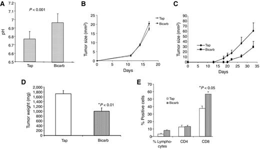 Figure 4. Buffer monotherapy in vivo. Animals bearing syngeneic melanoma tumors were treated with or without 200 mmol/L ad lib sodium bicarbonate (Bicarb) in their drinking water. A, bicarbonate raises pHe. The pHe levels were measured with microelectrode in B16 tumors treated with or without 200 mmol/L sodium bicarbonate therapy. Four separate animals were investigated under each condition, and a minimum of four measurements were made in each tumor along a single needle track (P < 0.001). B, bicarbonate does not affect B16 tumor growth. Mice bearing B16 tumors were treated with or without buffer therapy, showing no effect on tumor growth (n = 8 mice/group). C, bicarbonate inhibits Yumm 1.1 tumor growth. Mice bearing Yumm 1.1 tumors were treated with or without buffer therapy, showing the effect on tumor growth with time (n = 8 mice/group). D, the resected tumor weights at the endpoint from these experiments (P < 0.01). E, the flow quantified relative numbers of CD8+ and CD4+ T-cell infiltration into Yumm 1.1 tumors (n = 8 mice/group; P < 0.05 tap vs. bicarbonate CD8 cells; CD4 not significant).