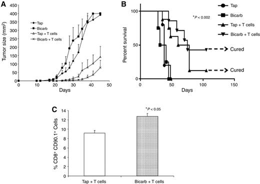 Figure 6. Effect of bicarbonate on adoptive T-cell transfer. C57BL/6 mice (n = 10 per group) received tap water or tap water containing 200 mmol/L sodium bicarbonate (Bicarb) ad lib 3 days prior to the tumor inoculation with 1 × 105 B16 cells injected subcutaneously in the left flank. Three days after inoculation, mice received a sublethal dose (600 cGy) of TBI, administered by an X-ray irradiator. For adoptive transfer experiments, T cells were isolated from the spleens of pmel mice and cultured in media containing 10 IU/ml of IL2 and 5 μg/mL of gp10025-33 in vitro for 5 days. On day 4 following tumor injection, 5 × 106 T cells were injected intravenously. IL- (2.5e5 IU) was given intraperitoneally following T-cell injection and continued every 12 hours for three days for a total of six injections. Following this treatment, tumor size was measured and recorded every 2 days. A, tumor growth after adoptive transfer of T cells or controls in combination with or without buffer therapy. Group mean differences between T cells vs. T cells + bicarbonate were not significant. However, there was a survival advantage, as shown in the survival curve in B, which had a log rank P = 0.002. C, percentage of T-cell persistence after adoptive transfer and buffer therapy (P < 0.05).