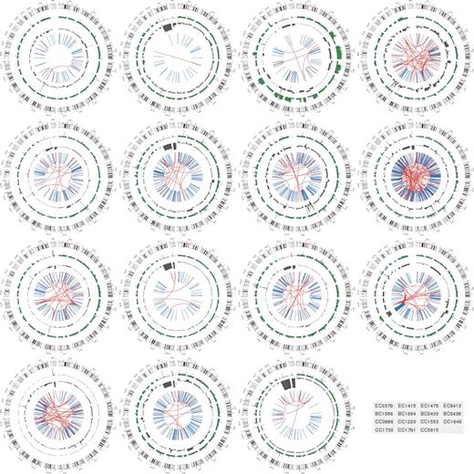 Figure 1. Circos plots of somatic single nucleotide variants, copy number alterations, and structural variations in the 15 cancer genomes. The inner ring displays SVs: black for intrachromosomal SVs and red for interchromosomal SVs. The second ring next to SVs is CNA, shown in gray. The third ring is SNV, shown in green. The outside ring is the chromosome ideogram. The sample description can be found in Supplementary Table S1.