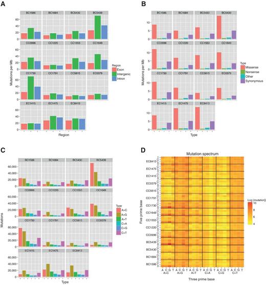 Figure 2. Summary of somatic mutations and mutation spectrum in GNCA, GCA, and ESCC genomes and non-negative matrix factorization analysis of SNV substitution matrix. Somatic SNVs are summarized in Figure 2A and B. The numbers of somatic mutations per million bases in intergenic, intronic, and exonic regions of GCA, GNCA, and ESCC genomes are illustrated with bar graphs. Here, somatic mutations include single nucleotide variations and small indels. A, graph shows mutations in intergenic, intronic, and exonic regions. B, graph shows mutations of various types of amino-acid changes. SNV substitution patterns are summarized in C and D. C, graph shows the numbers of somatic mutations for the six types of base substitutions, summarized on the left. We also considered the context of 5 prime base and 3 prime base; there are 96 possible combinations (4 × 6 × 4). D, the heatmap shows the results for the 15 tumors.