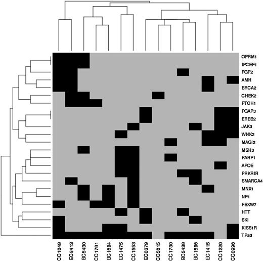 Figure 3. Summary of potential cancer driver mutations. The potential driver mutations were identified using IVA. We identified 24 genes that were frequently mutated in ESCC and gastric cancer. Mutations and affected tumors are shown in the heatmap.