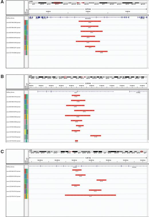 Figure 5. IGV views of structural changes of recurrent SVs. IGV views for MACROD2, FHIT, and PARK2. Blue rectangles are exons. Red rectangles are deleted regions, and the number below the box refers to SV id. Tumors are labeled on the left. A, MACROD2; B, FHIT; C, PARK2.